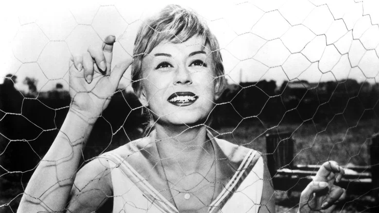 Nights of Cabiria screenshot 7