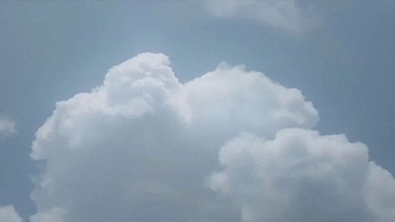 Sheltering Skies screenshot 1