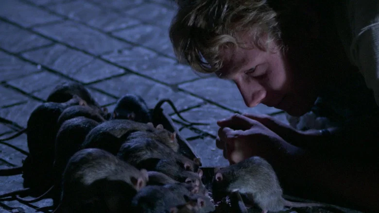 Willard screenshot 3