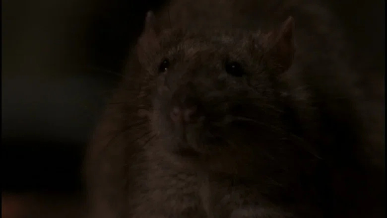 The Rats screenshot 7
