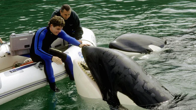 Free Willy 3: The Rescue screenshot 4