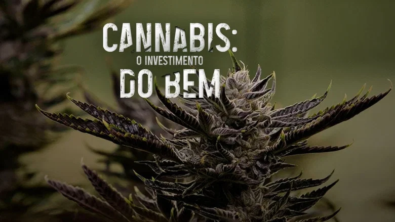 Cannabis: O Investimento do Bem screenshot 1