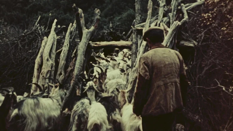 Orgosolo’s Shepherds screenshot 1