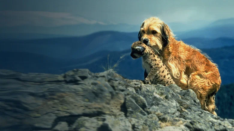Benji the Hunted screenshot 5