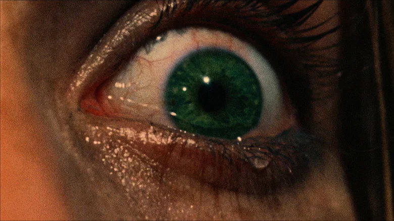 The Texas Chain Saw Massacre screenshot 3