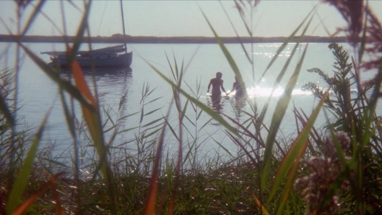 Last Summer screenshot 6