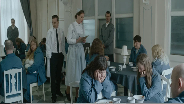 The Sugar Experiment screenshot 6