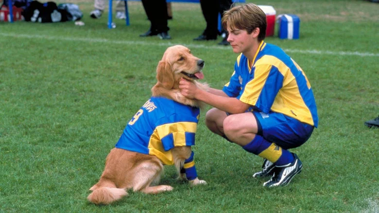 Air Bud: World Pup screenshot 1