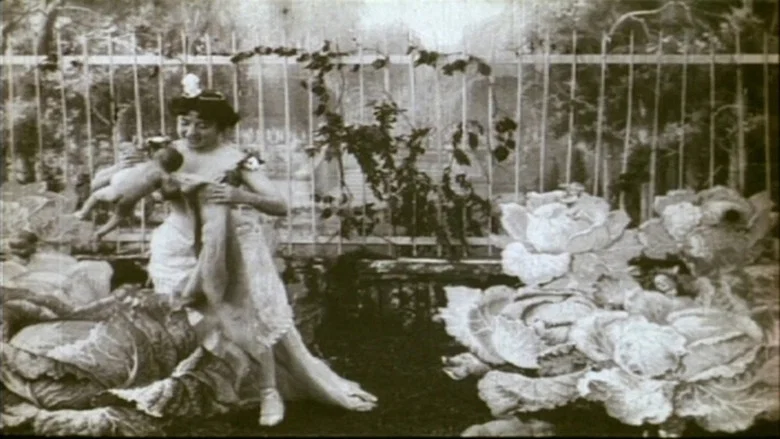 The Cabbage-Patch Fairy screenshot 1