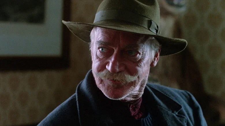 The Grey Fox screenshot 1