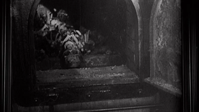 Imaginary Witness: Hollywood and the Holocaust screenshot 2