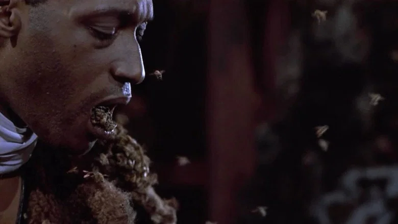 Candyman screenshot 6