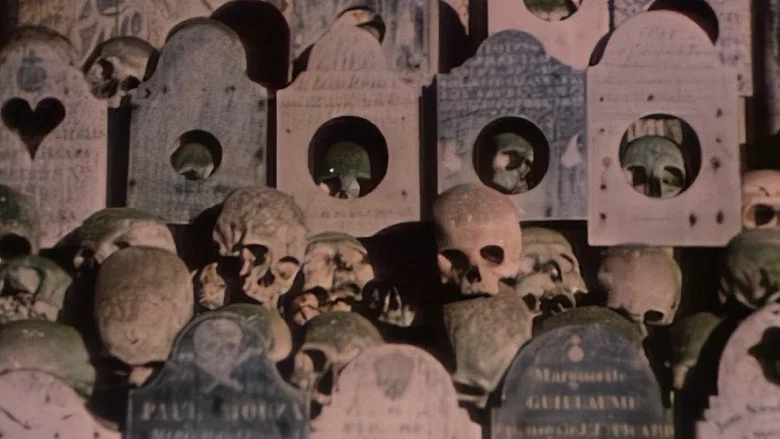 Faces of Death II screenshot 1