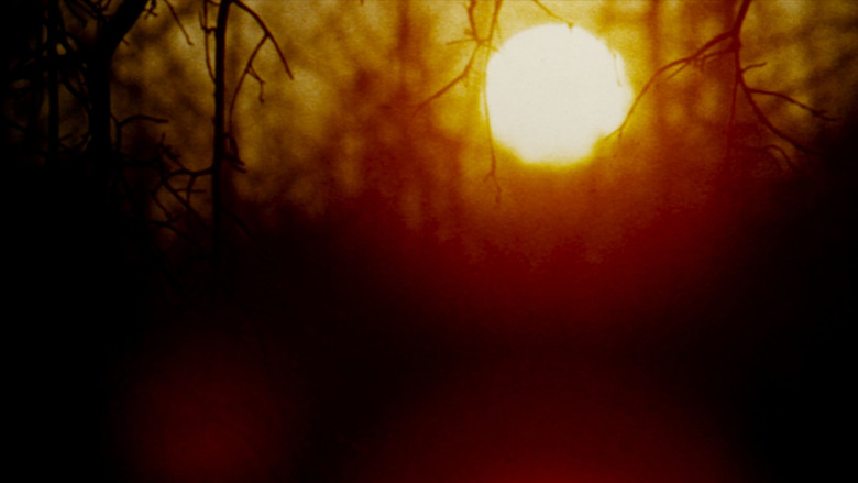 The Legend of Boggy Creek screenshot 8