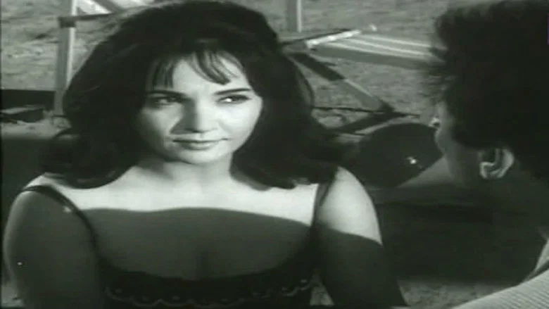 Wife Number 13 screenshot 4