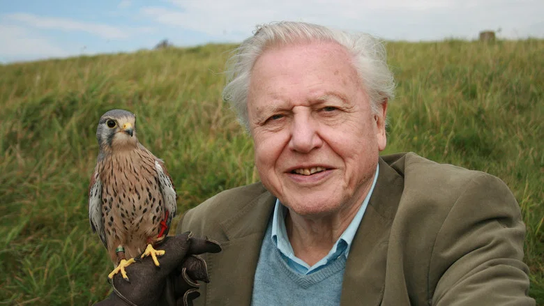 Attenborough: 60 Years in the Wild screenshot 3