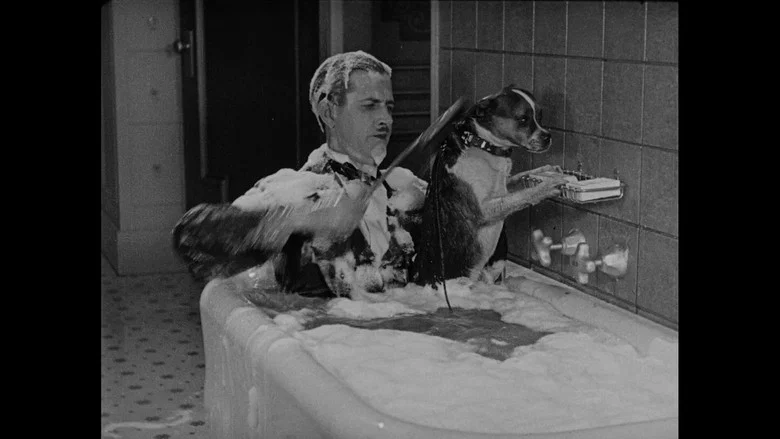 Wonder Dogs! Canine Stars of the Silent Era (1898-1928) screenshot 8