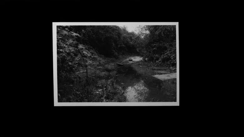 Grantham Overgrown (Infinite Regression) screenshot 3