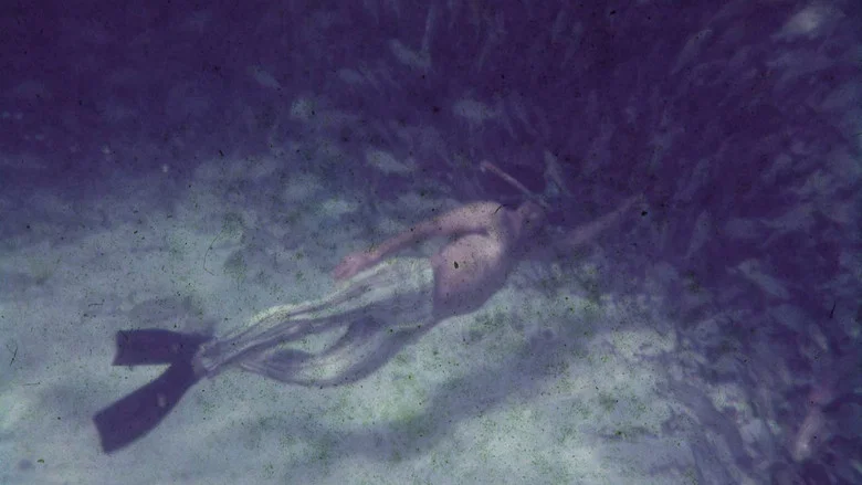 Saved From The Waters screenshot 1