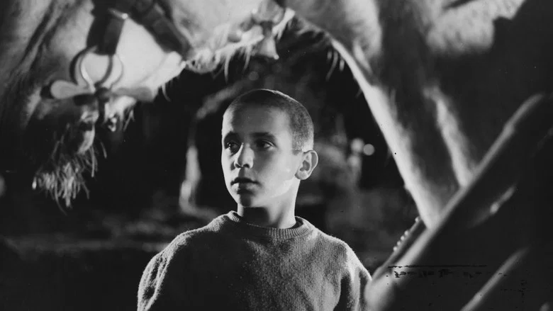 Chronicle of a Boy Alone screenshot 1