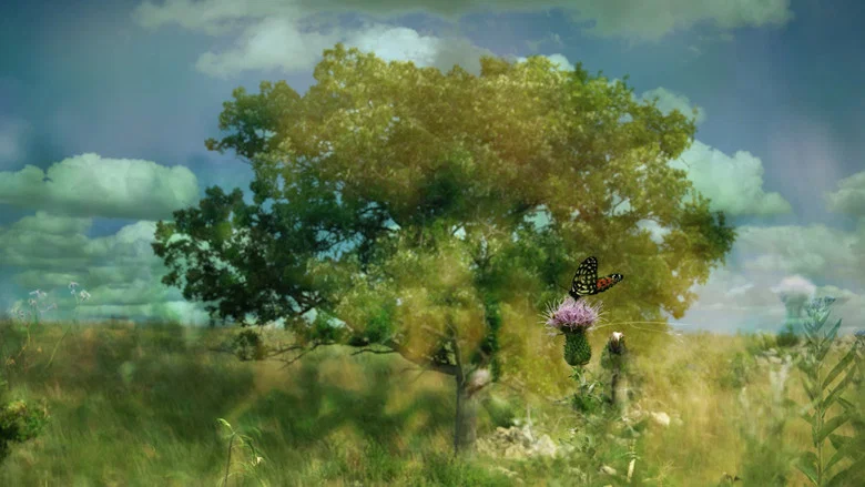 Phainesthai screenshot 2
