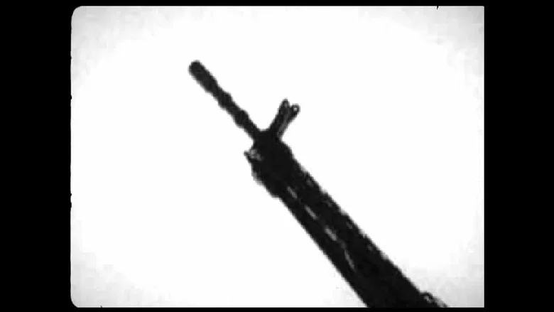 Selective Fire screenshot 2