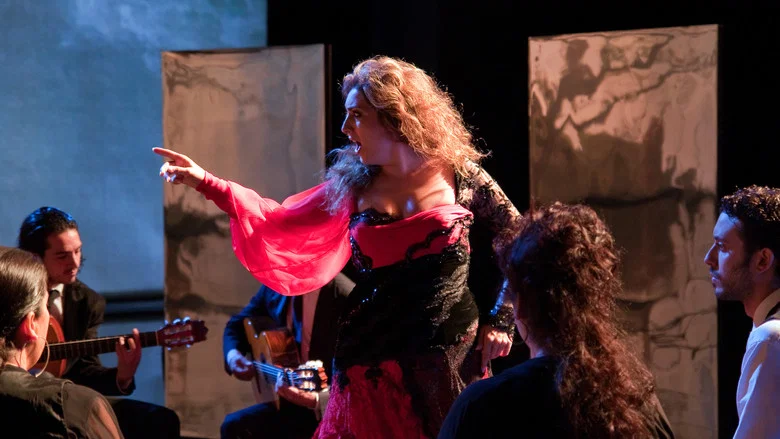 Flamenco Flamenco screenshot 2
