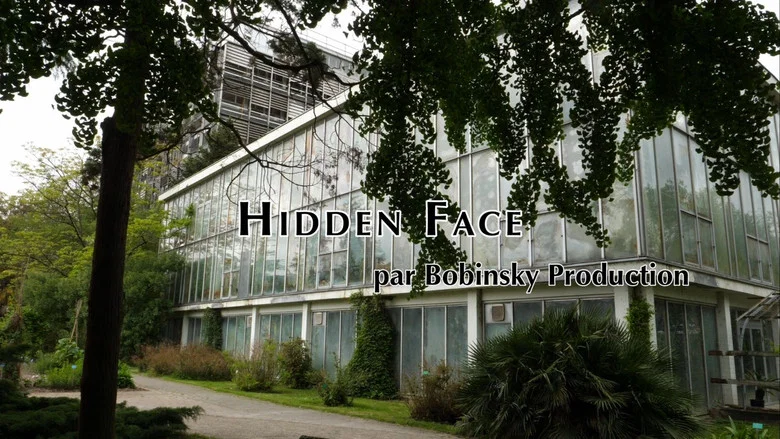 Hidden Face screenshot 2