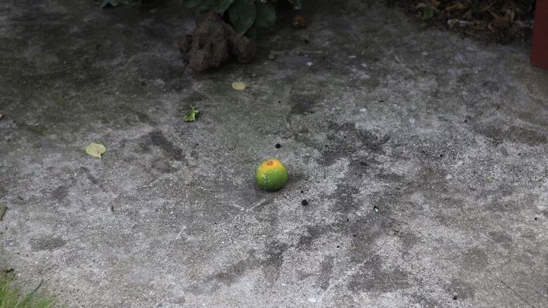 Jeju Prayer screenshot 2