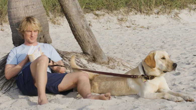 Marley & Me screenshot 7