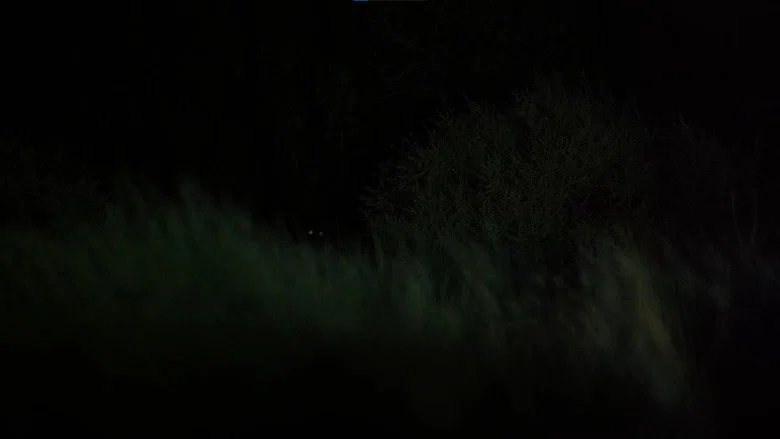 Cactus Juice screenshot 8