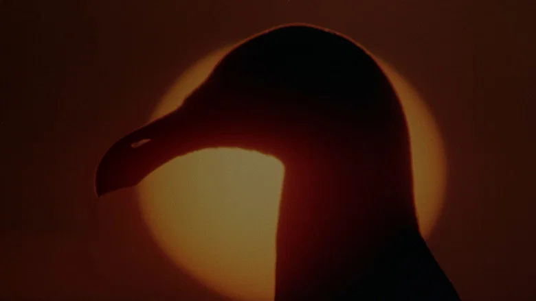 Jonathan Livingston Seagull screenshot 7