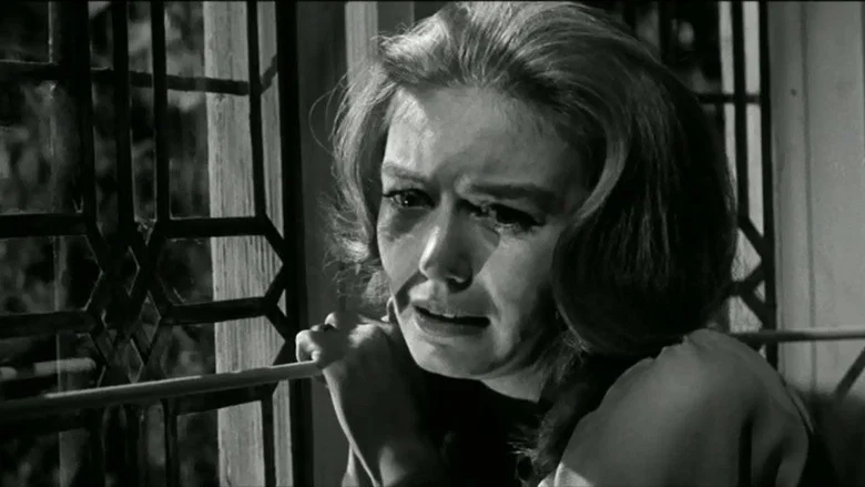 Paranoiac screenshot 2