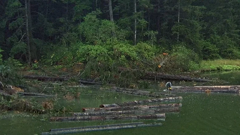 Sometimes a Great Notion screenshot 5