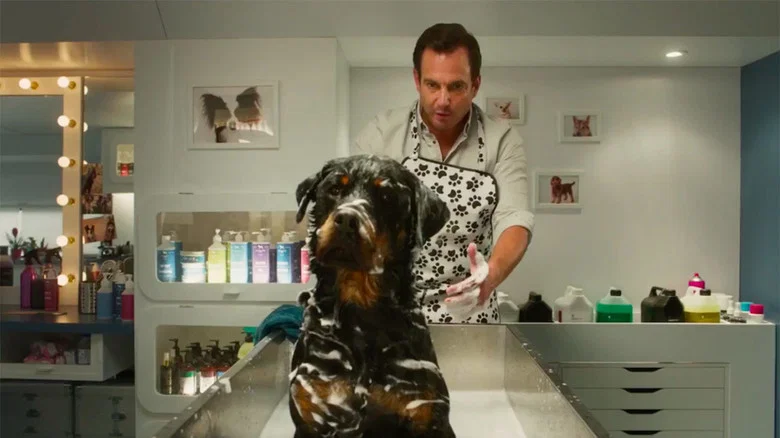 Show Dogs screenshot 2