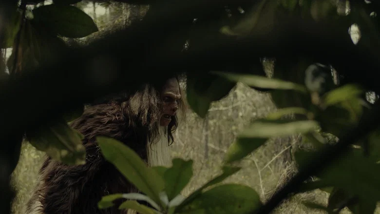 Sighting screenshot 1