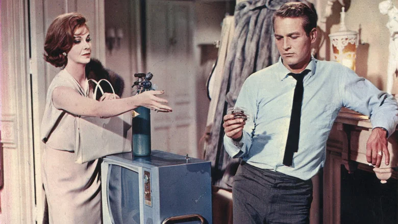 Sweet Bird of Youth screenshot 3