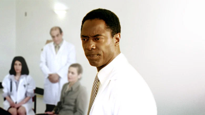 Doctor Bello screenshot 1