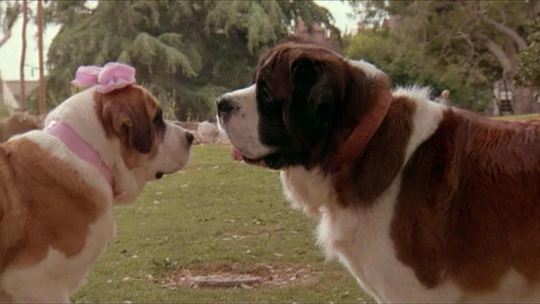 Beethoven's 2nd screenshot 4