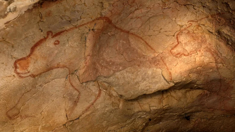 Grotte Chauvet - Dans les pas des artistes de la Préhistoire screenshot 2