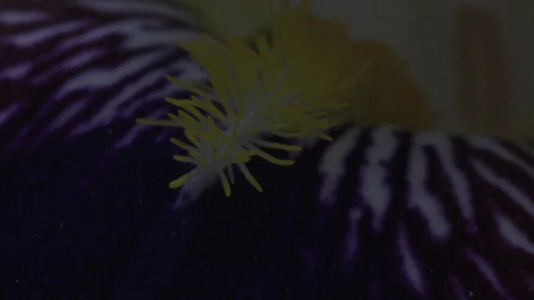 Flower Bed screenshot 2