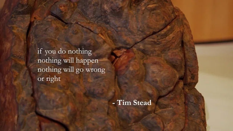 Tim Stead: Magician With Wood screenshot 3