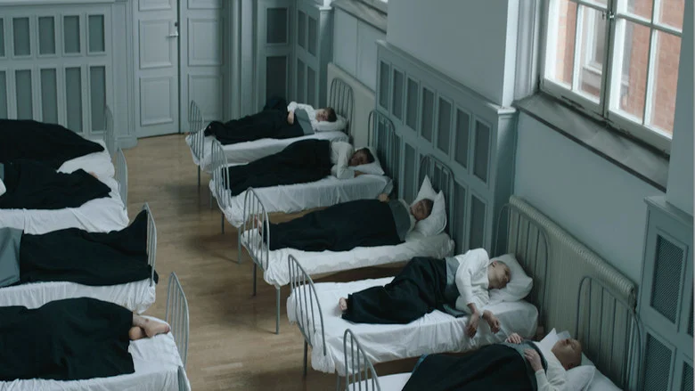The Sugar Experiment screenshot 7