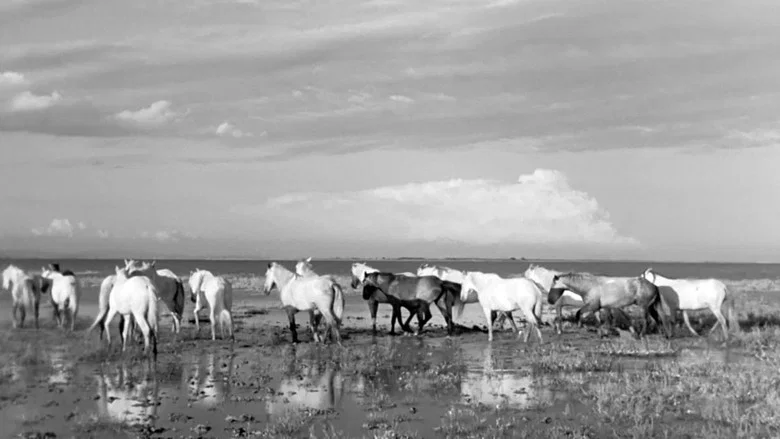 White Mane screenshot 6