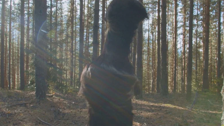 Under the Skins screenshot 4