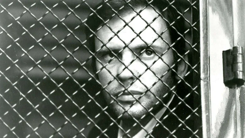 Crime Thief screenshot 3