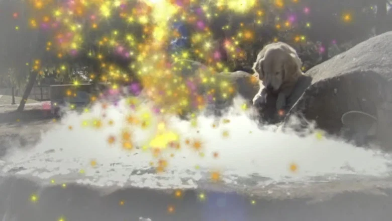 Love on a Leash screenshot 7