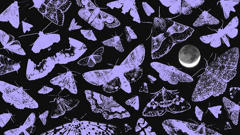 Nocturnes screenshot 6