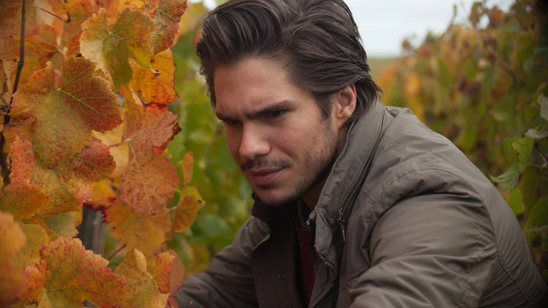 Back to Burgundy screenshot 1