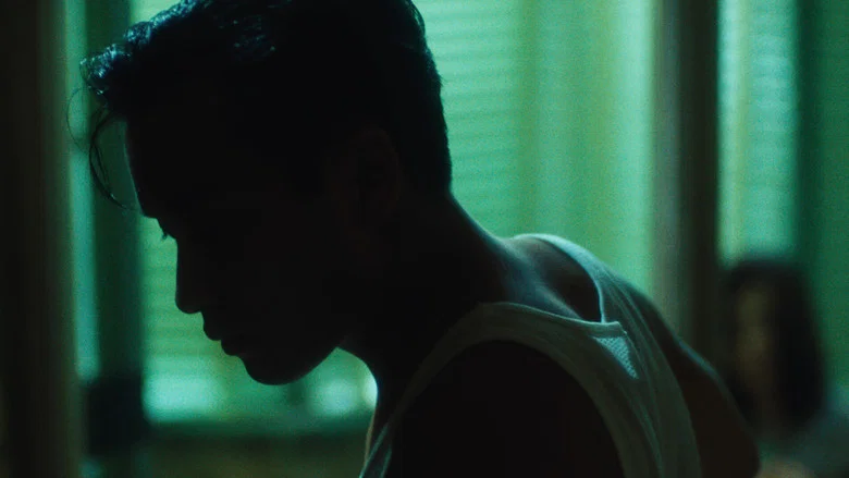 Days of Being Wild screenshot 3